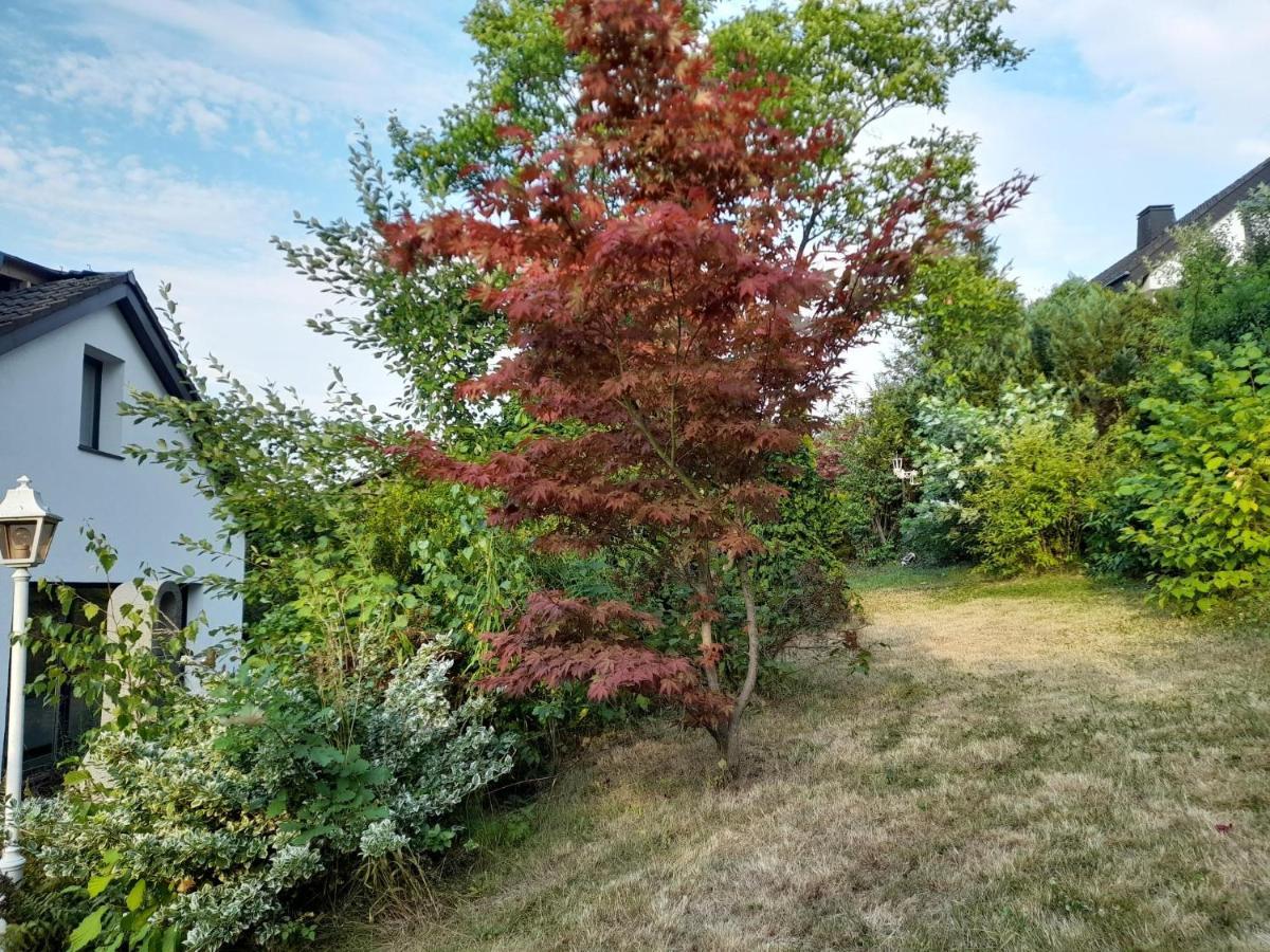 Haus Edda - Ferienwohnungen Mit Garten Und Schlossblick Marburg ภายนอก รูปภาพ
